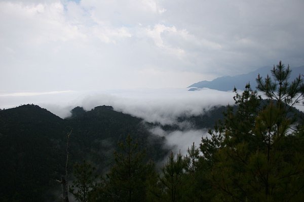 再來張雲海