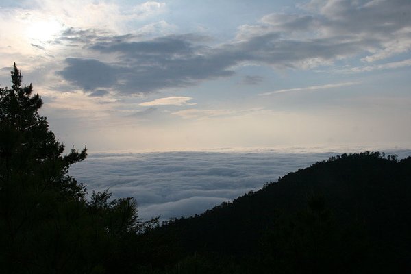 再來張雲海