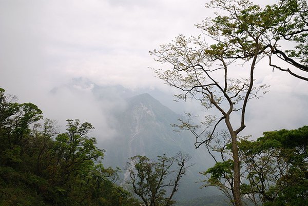 山上的天氣不太好...