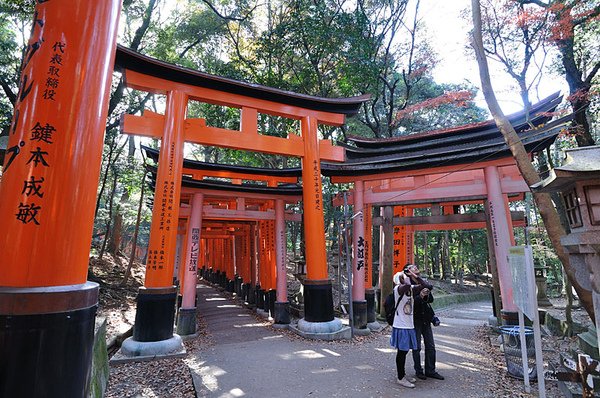 這兩位參觀神社不忘賞鳥...