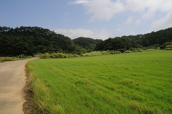 鄉間一景