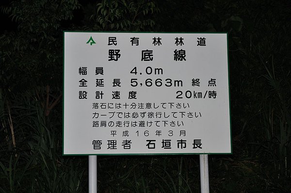 晚上又回到了野底林道