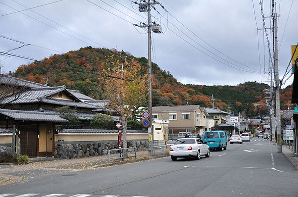 往深泥池路上