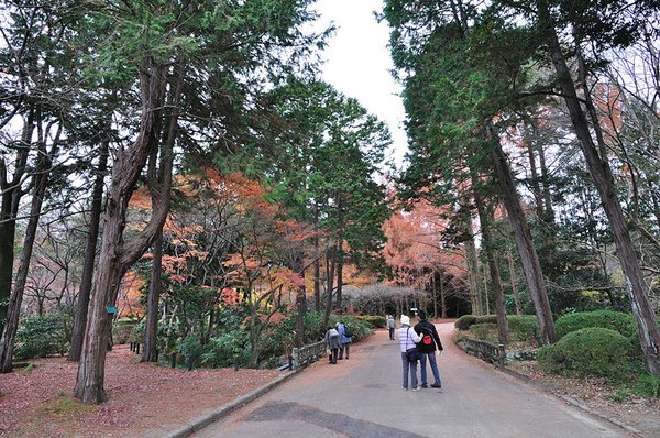 慢慢撤出植物園…