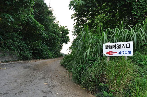 離開了野底林道...