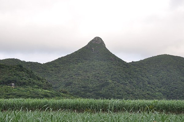 這座很像墾丁大尖山的好像叫作野底山...