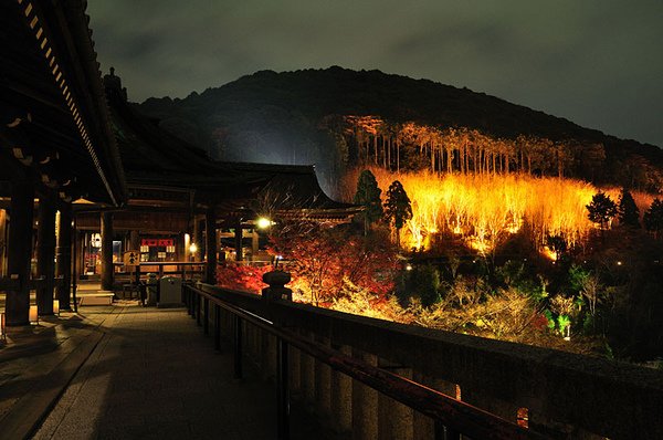 進了清水寺