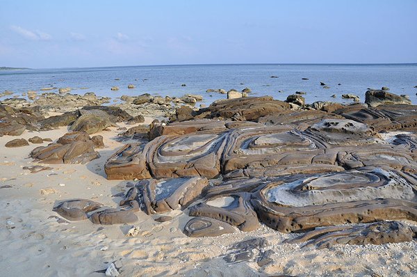 奇特的海岸岩石