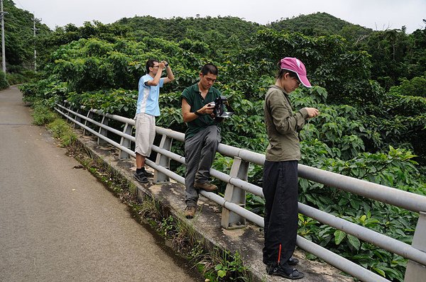 大家在拍什麼？