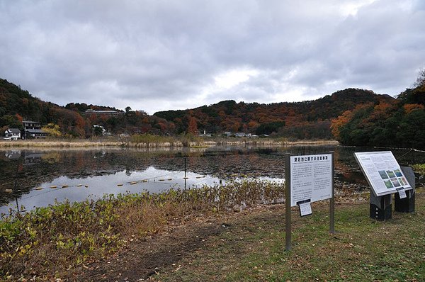 深泥池畔