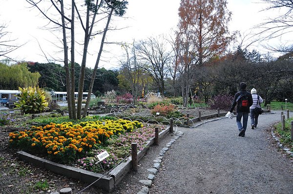 植物園內