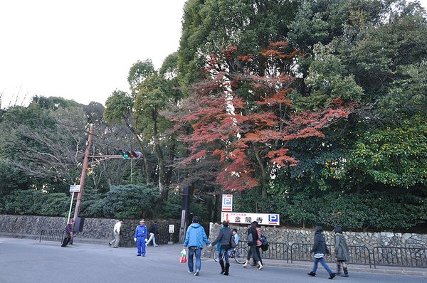 搭上公車前往金閣寺