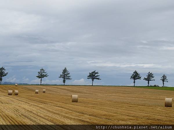 【日本露營車北海道道東篇】暑假第二次從北海道函館→洞爺湖→小