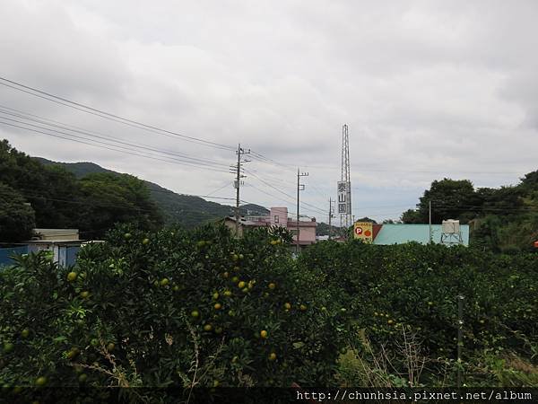 【日本露營車箱根篇】週末假期從靜岡伊東→沼津→箱根趴趴走