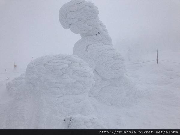 【日本滑雪】我的滑雪經驗→日本各地滑雪場的資料與裝備分享