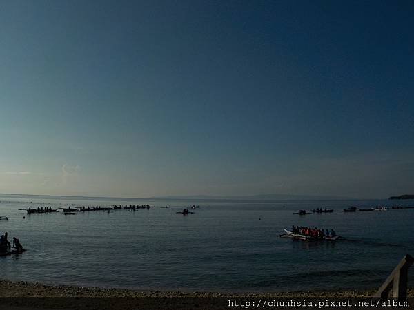 【菲律賓宿霧】宿霧歐斯陸看鯨鯊→邦佬島追海豚，登處女島，薄荷