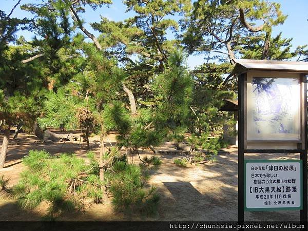 【日本露營車兵庫四國篇】過年從有馬溫泉→竹田城跡→岡山後樂園