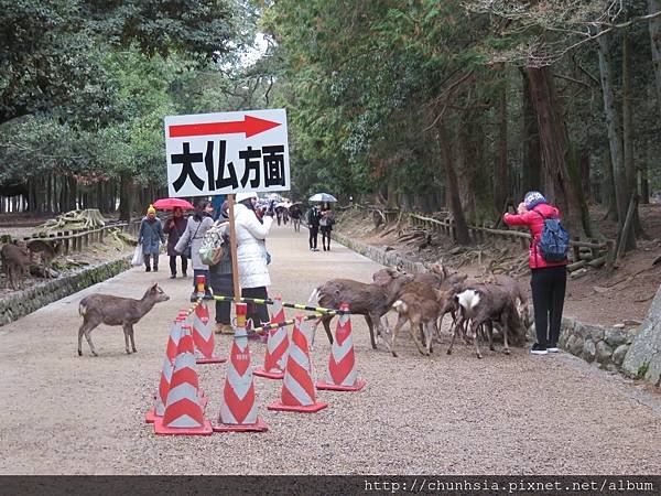 【日本露營車兵庫四國篇】過年從有馬溫泉→竹田城跡→岡山後樂園