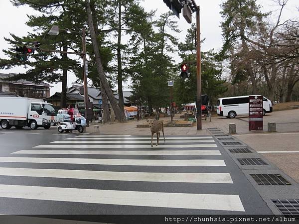 【日本露營車兵庫四國篇】過年從有馬溫泉→竹田城跡→岡山後樂園