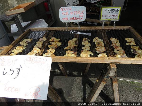 【日本露營車富士山篇】露營車友聚會～忍野八海～新倉山淺間公園