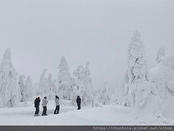 【日本滑雪】我的滑雪經驗→日本各地滑雪場的資料與裝備分享