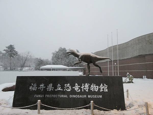 【日本露營車福井岐阜和歌山篇】日本過年從長野～恐龍博物館～白