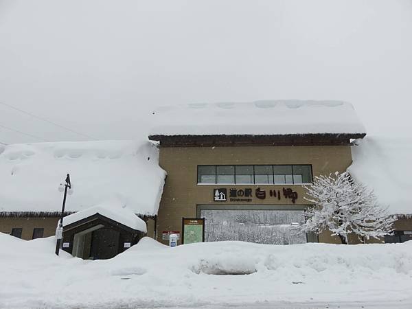 【日本露營車福井岐阜和歌山篇】日本過年從長野～恐龍博物館～白