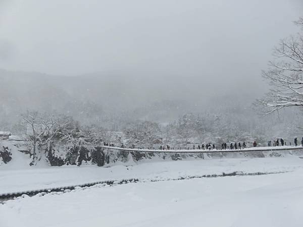 【日本露營車福井岐阜和歌山篇】日本過年從長野～恐龍博物館～白