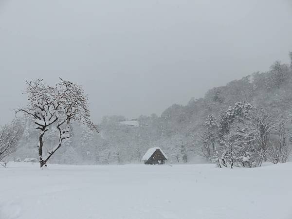 【日本露營車福井岐阜和歌山篇】日本過年從長野～恐龍博物館～白