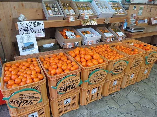 【日本露營車福井岐阜和歌山篇】日本過年從長野～恐龍博物館～白