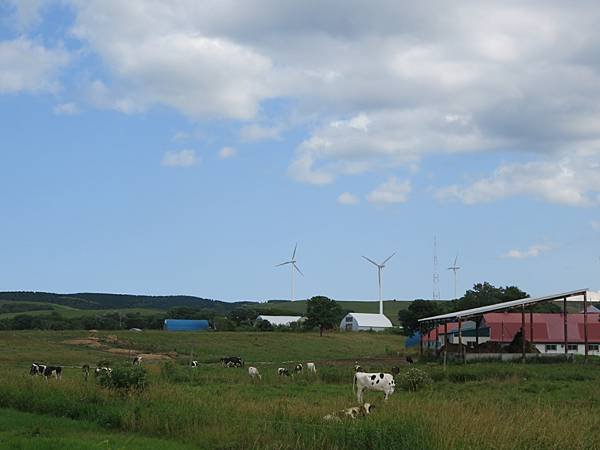 【日本露營車北海道道北篇】第三次遊北海道，從函館～洞爺湖～稚