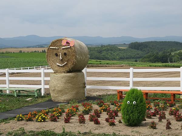 【日本露營車北海道道北篇】第三次遊北海道，從函館～洞爺湖～稚