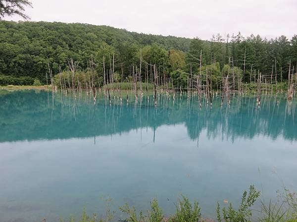 【日本露營車北海道道北篇】第三次遊北海道，從函館～洞爺湖～稚