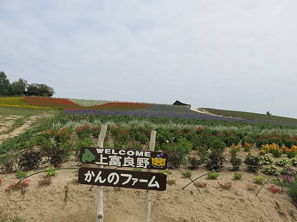 【日本露營車北海道道北篇】第三次遊北海道，從函館～洞爺湖～稚