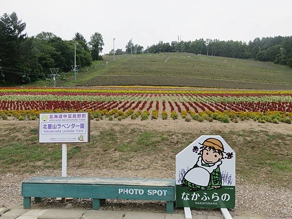 【日本露營車北海道道北篇】第三次遊北海道，從函館～洞爺湖～稚