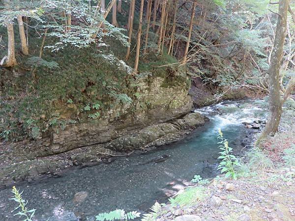 【日本露營車岐阜長野篇】從埼玉~飛騨高山古街~買飛騨牛肉~下