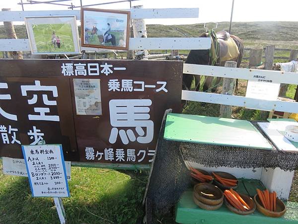 【日本露營車岐阜長野篇】從埼玉~飛騨高山古街~買飛騨牛肉~下