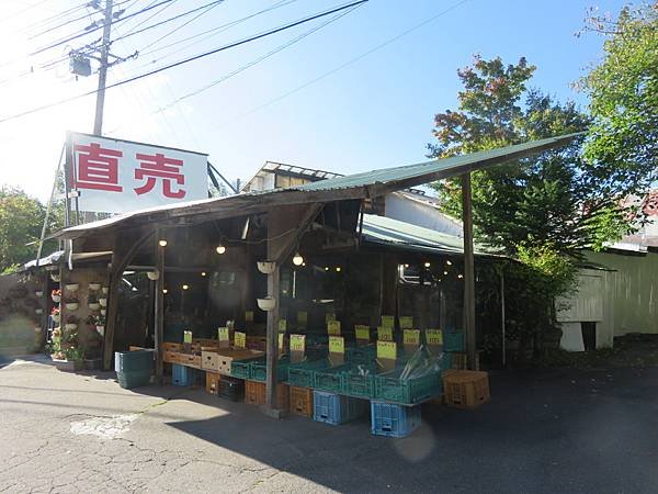 【日本露營車岐阜長野篇】從埼玉~飛騨高山古街~買飛騨牛肉~下