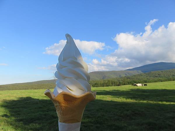 【日本露營車岐阜長野篇】從埼玉~飛騨高山古街~買飛騨牛肉~下