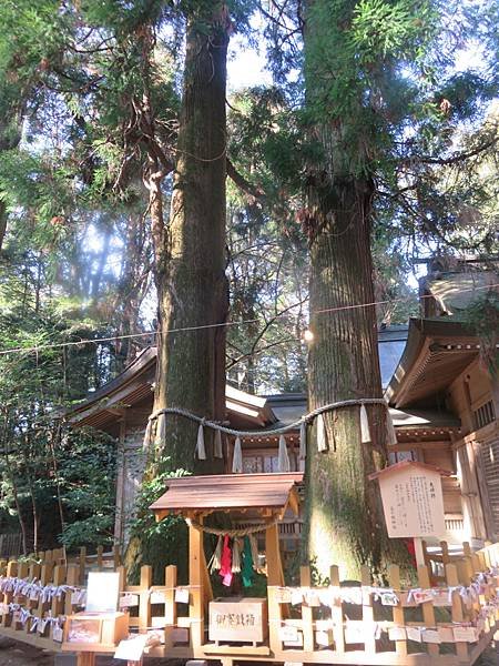 【日本露營車九州篇】第二次遊九州從埼玉～鹿兒島～桜島～佐多峽