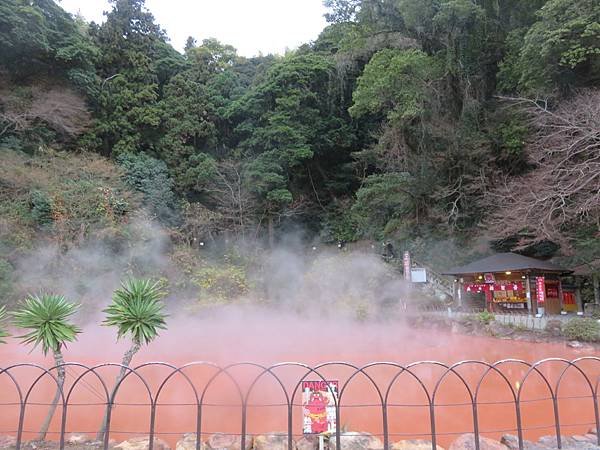 【日本露營車九州篇】第二次遊九州從埼玉～鹿兒島～桜島～佐多峽