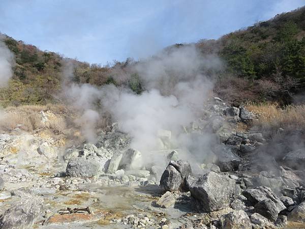 【日本露營車九州篇】第二次遊九州從埼玉～鹿兒島～桜島～佐多峽