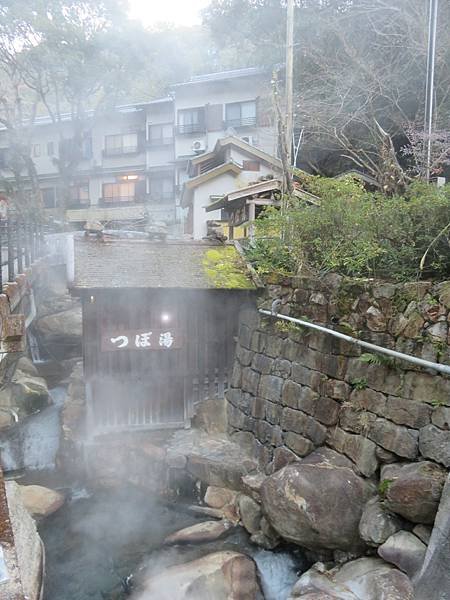 【日本露營車愛知滋賀岐阜篇】日本過年從埼玉～神奈川～山梨～靜