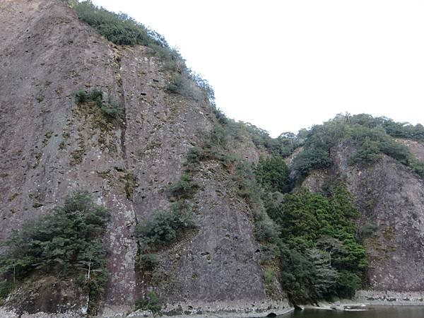 【日本露營車愛知滋賀岐阜篇】日本過年從埼玉～神奈川～山梨～靜