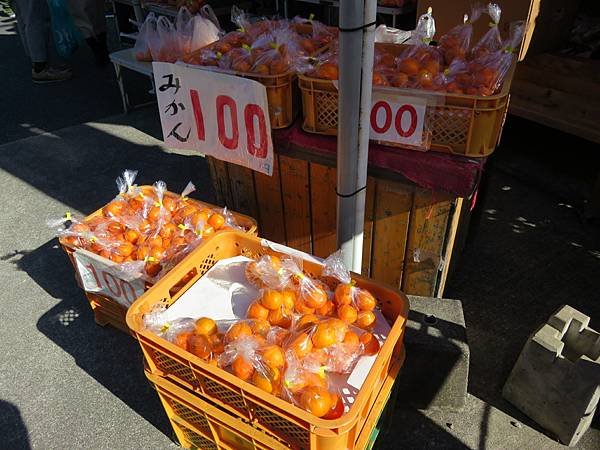 【日本露營車愛知滋賀岐阜篇】日本過年從埼玉～神奈川～山梨～靜