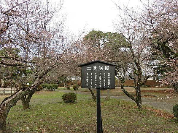 【日本露營車愛知滋賀岐阜篇】日本過年從埼玉～神奈川～山梨～靜