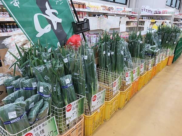 【日本露營車愛知滋賀岐阜篇】日本過年從埼玉～神奈川～山梨～靜