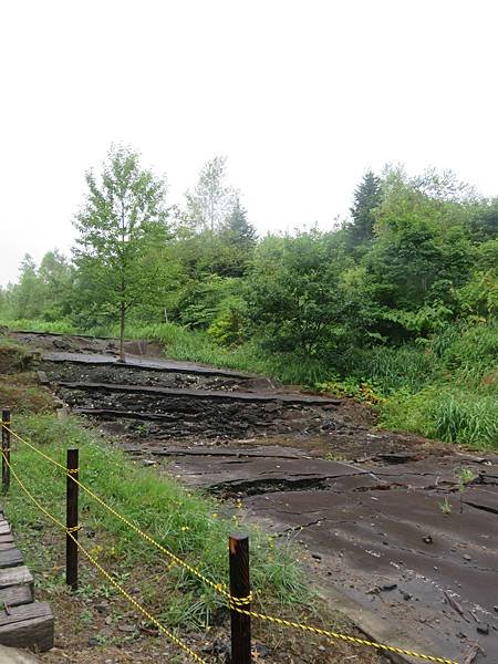 【日本露營車北海道道北篇】第三次遊北海道，從函館～洞爺湖～稚