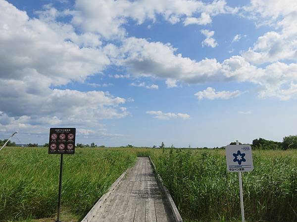 【日本露營車北海道道北篇】第三次遊北海道，從函館～洞爺湖～稚