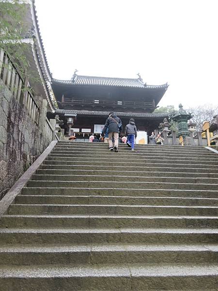 【日本露營車四國小島篇】日本過年到直島，小豆島，男木島，女木